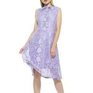 Alexia Admor | Purple Lace Luna Fit N Flare Dress